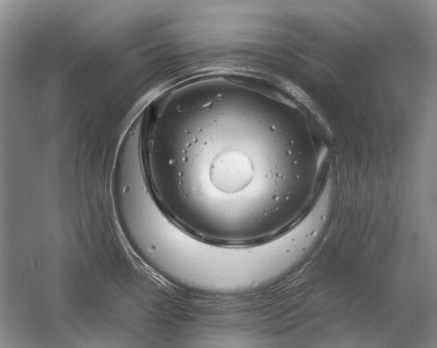 X0000060261338200510281155