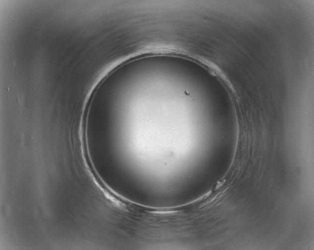 X0000060261343200510281155