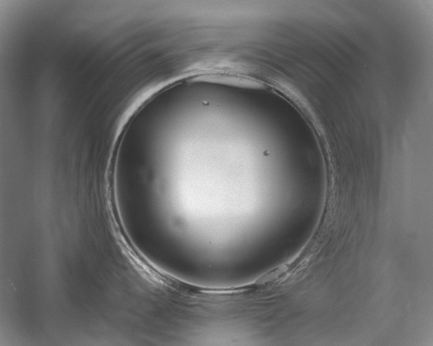 X0000060261344200510281155