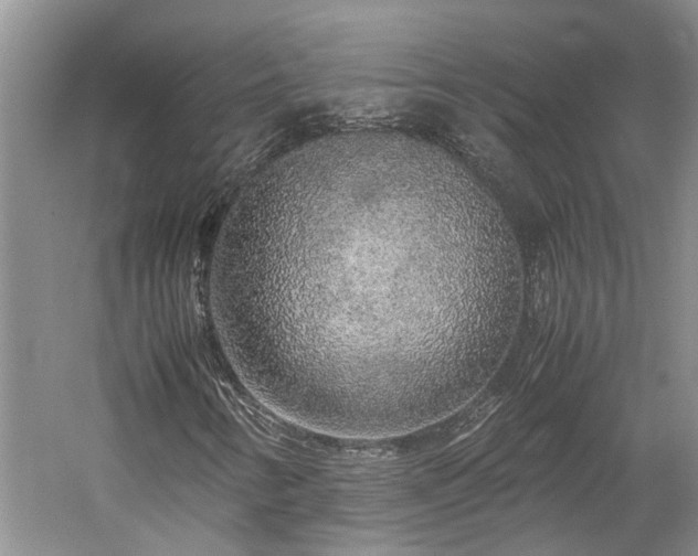 X0000060261346200510281155