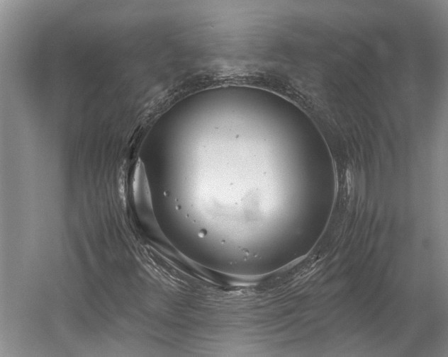 X0000060261348200510281155