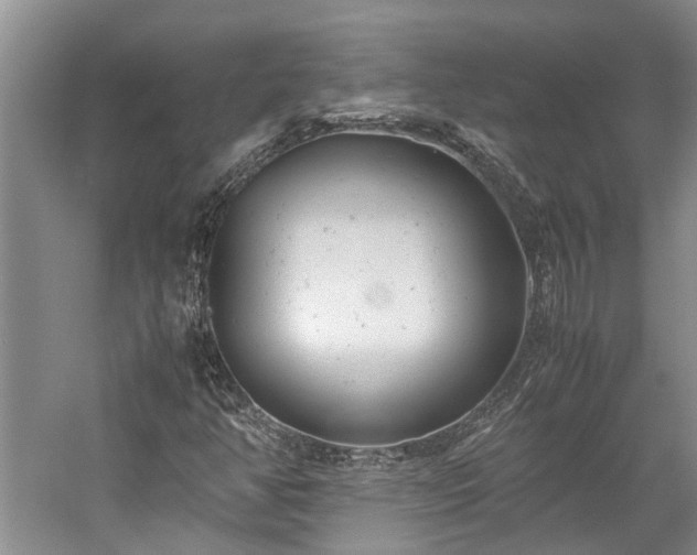 X0000060261350200510281155