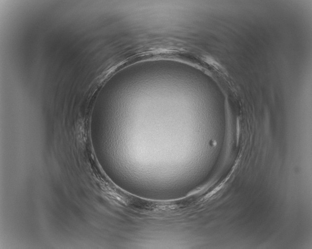 X0000060261353200510281155