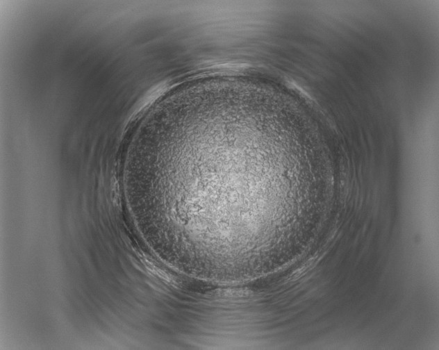 X0000060261354200510281155