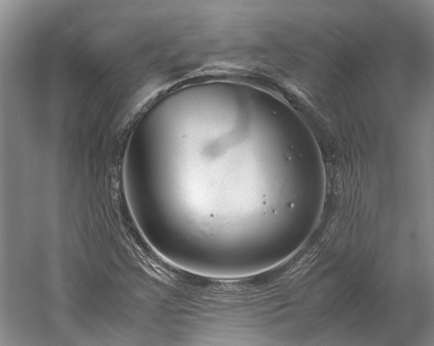 X0000060261355200510281154