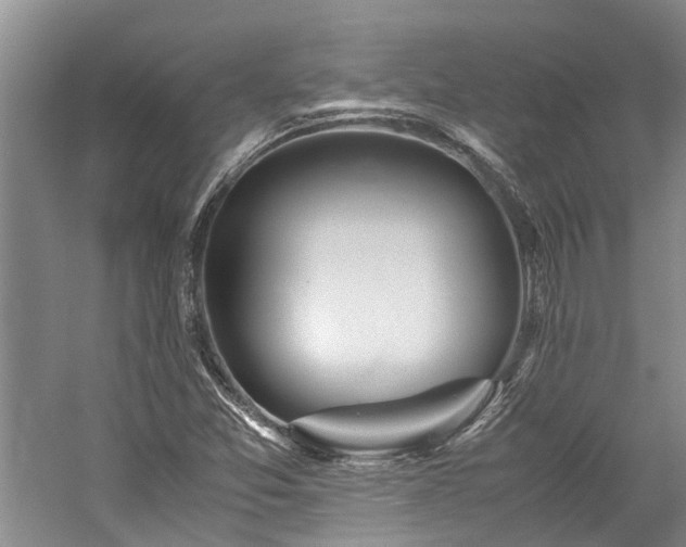 X0000060261357200510281154