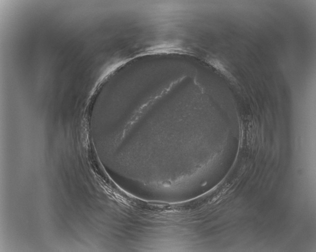 X0000060261358200510281154