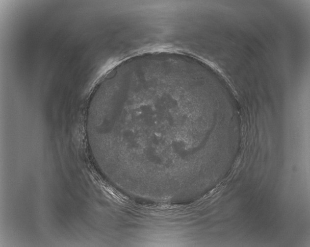 X0000060261359200510281154