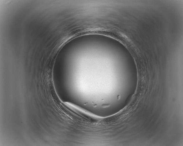 X0000060261361200510281154