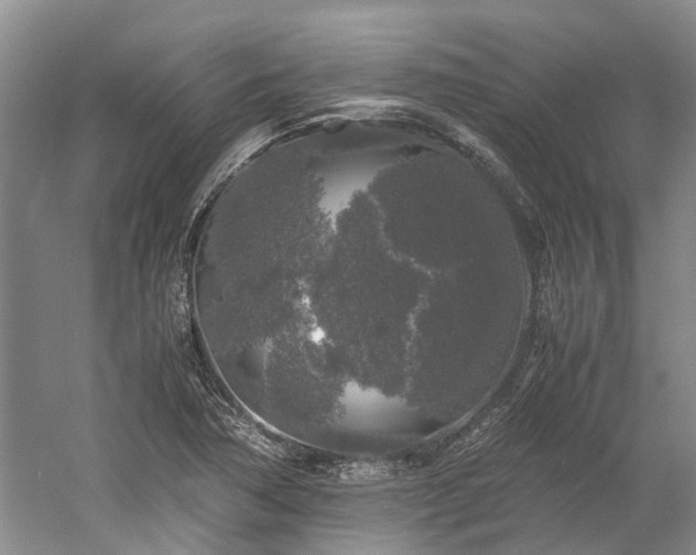 X0000060261362200510281154