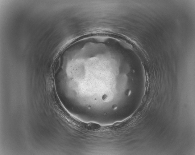 X0000060261363200510281154