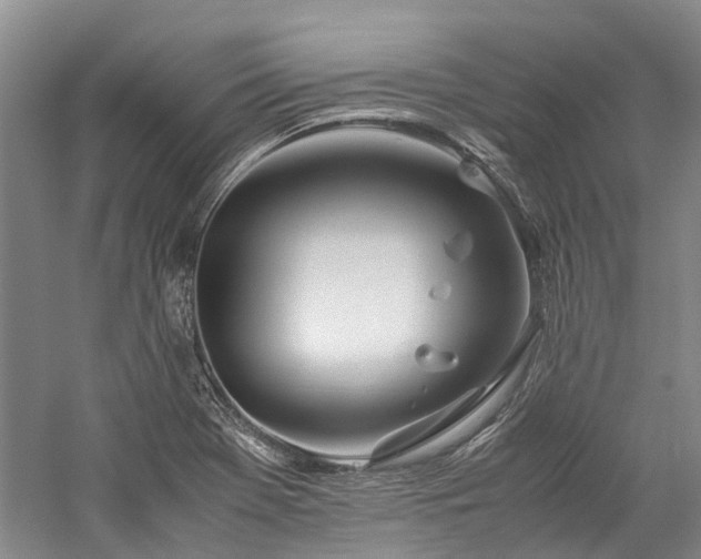 X0000060261369200510281154