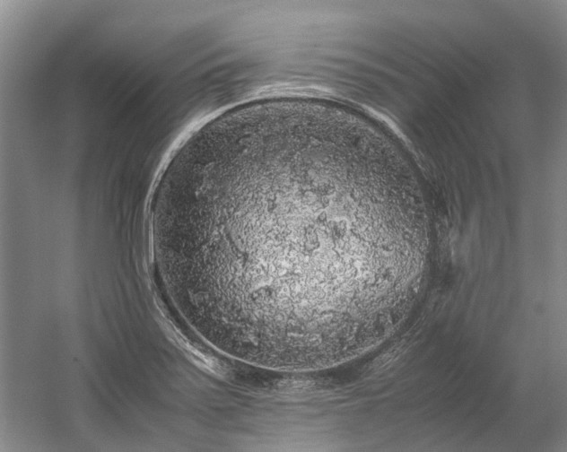 X0000060261371200510281154