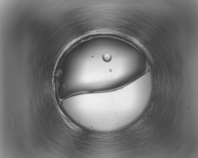 X0000060261372200510281154