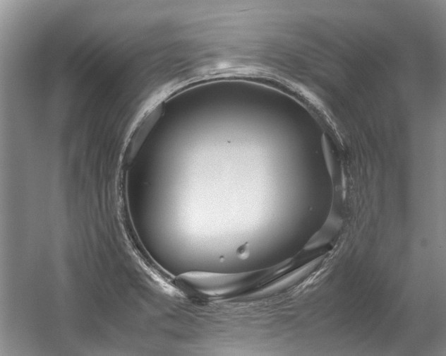 X0000060261373200510281154