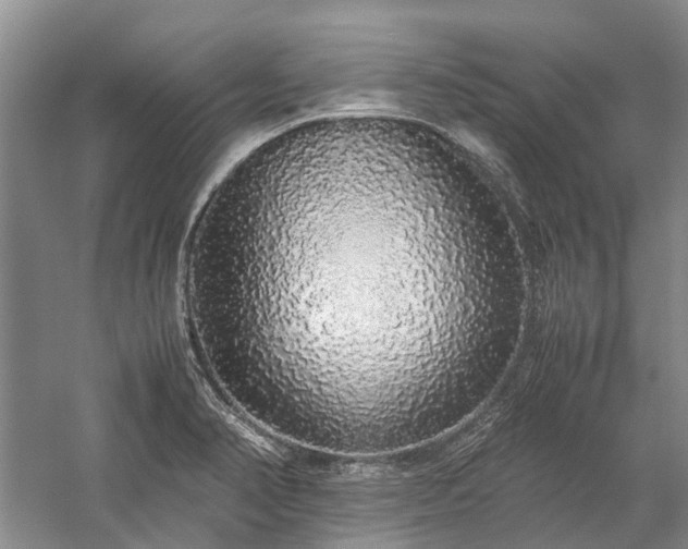 X0000060261374200510281154