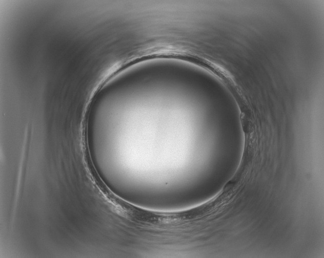 X0000060261375200510281154