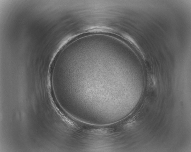 X0000060261376200510281154