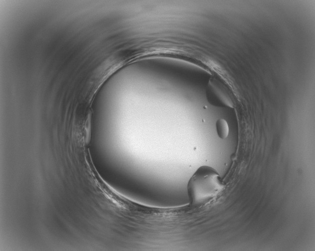 X0000060261377200510281154