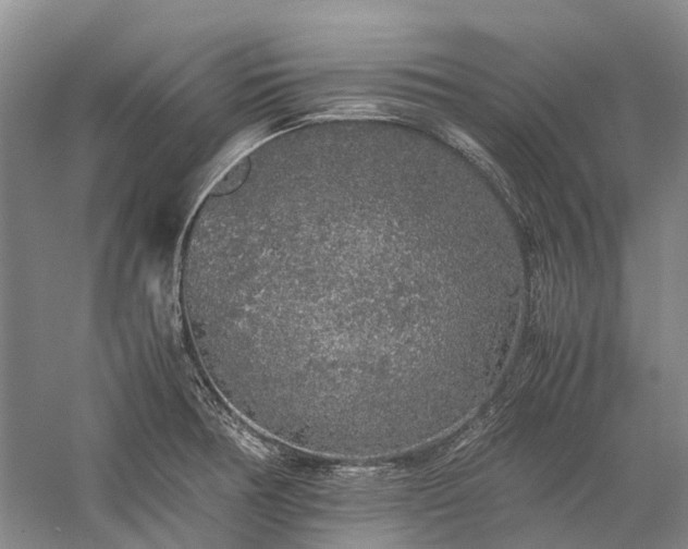 X0000060261378200510281154