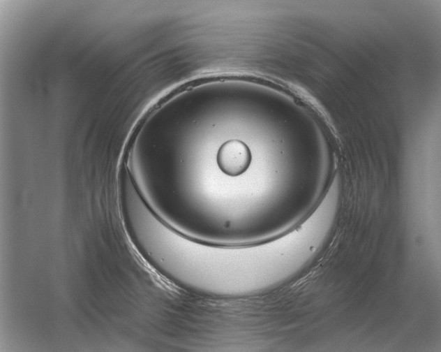 X0000060261380200510281154