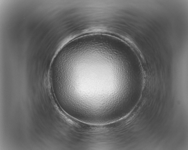 X0000060261382200510281154