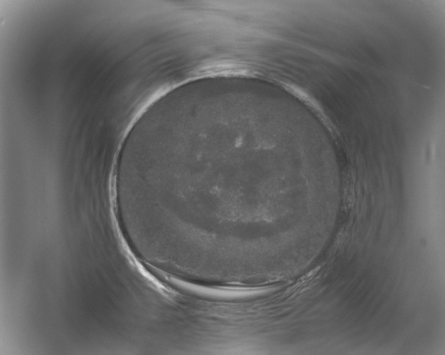 X0000060261383200510281154