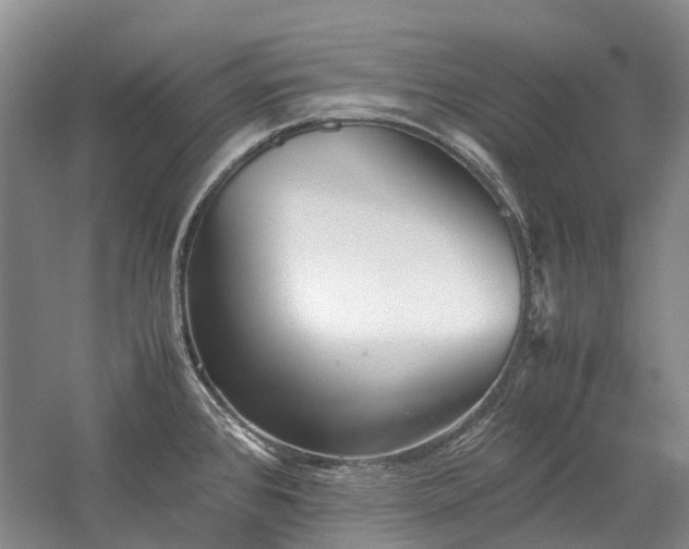 X0000060261384200510281154