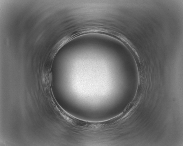 X0000060261385200510281154