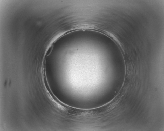 X0000060261387200510281154