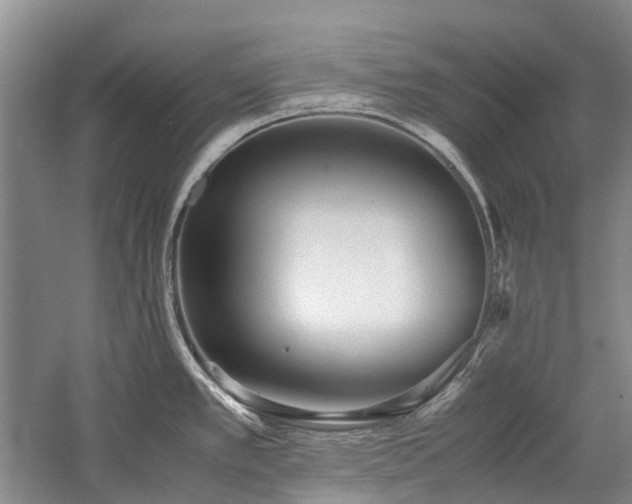 X0000060261389200510281154