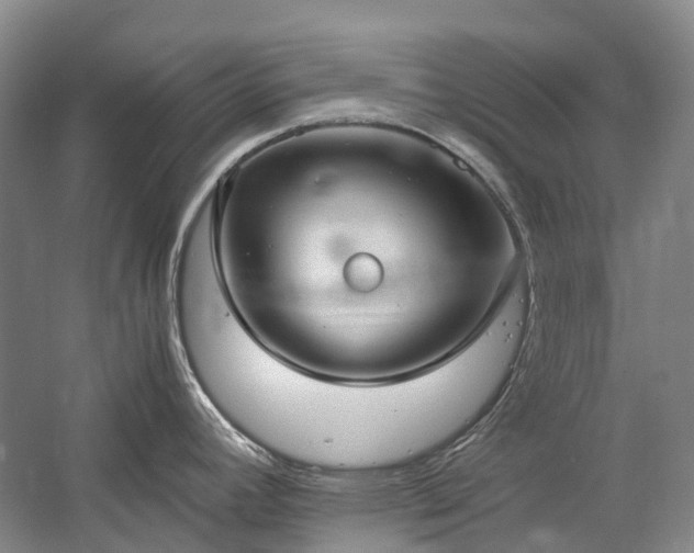 X0000060261392200510281154