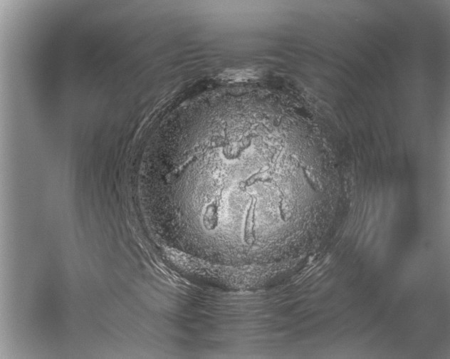 X0000060261393200510281153