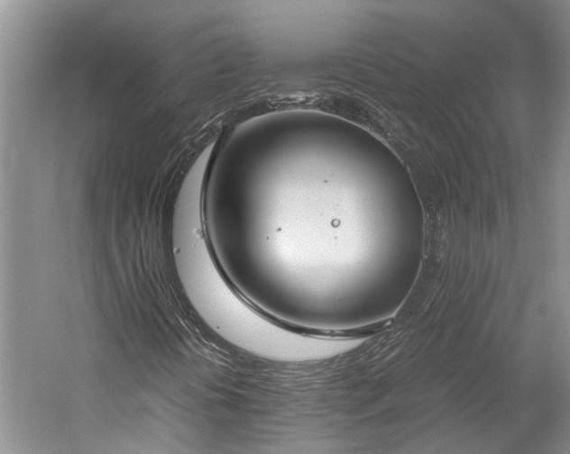 X0000060261394200510281153