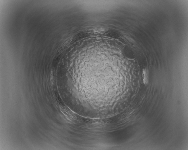 X0000060261395200510281153