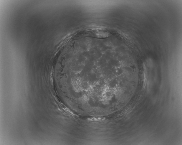 X0000060261397200510281153