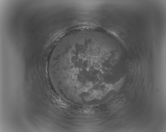 X0000060261399200510281153