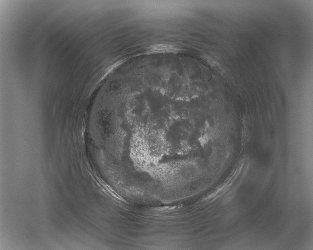 X0000060261401200510281153