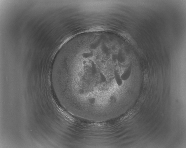 X0000060261409200510281153