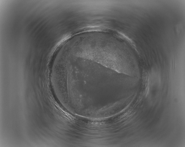 X0000060261411200510281153