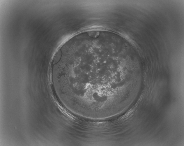 X0000060261413200510281153