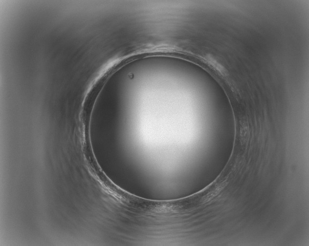 X0000060261414200510281153