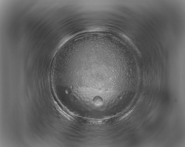 X0000060261417200510281153