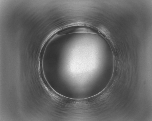 X0000060261418200510281153