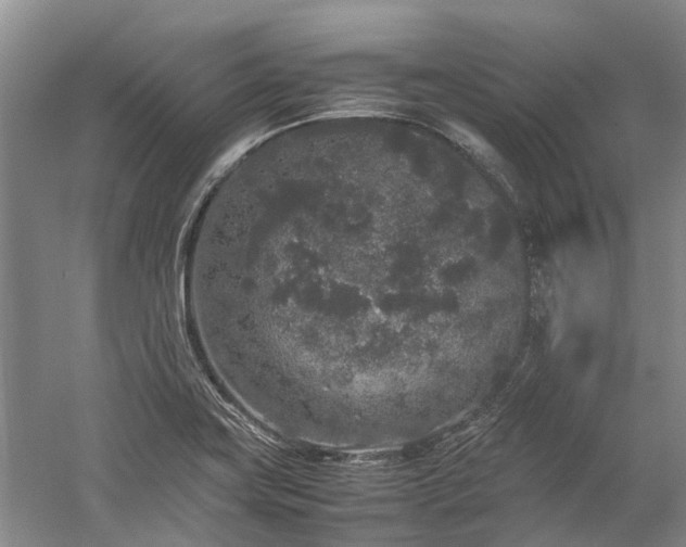 X0000060261419200510281154