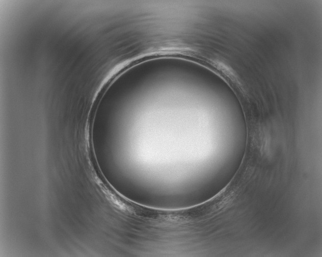 X0000060261420200510281154