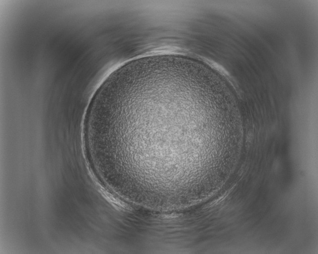 X0000060261423200510281154