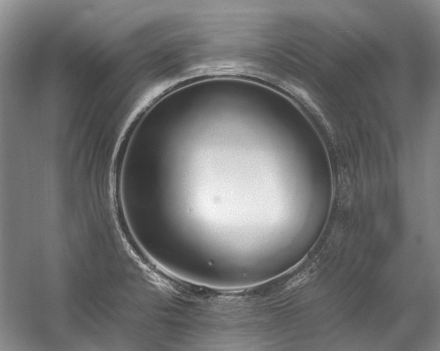 X0000060261424200510281154