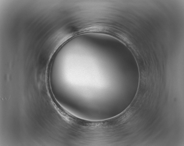 X0000060261426200510281154