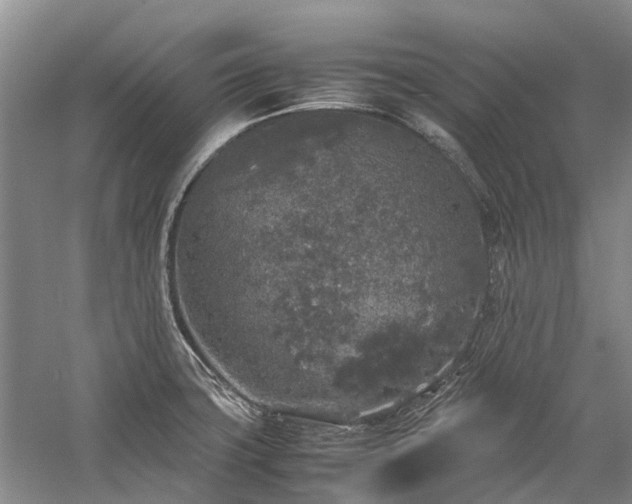 X0000060261427200510281154